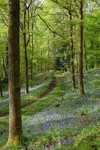 Along the Winding Path
