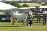SBM_00773