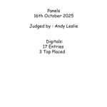 Panels summary portfolio