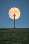 ab568 Tennyson monument Moonrise