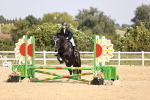 SBM_002291
