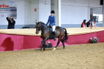 SBM_23397