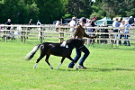 SBM_03384