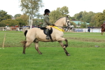Working Hunter Pony Supreme Championship portfolio