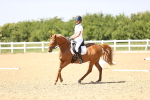 SBM_010076