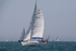 190629 FERONIA GBR3805L D43A3934