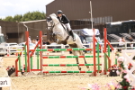 SBM_003667