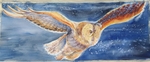 Night Owl