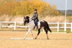 SBM_001703