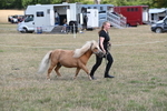 WJ6_6897