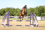 SBM_002973
