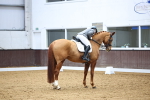 SBM_007978