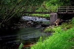 Over the Bridge