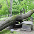 Post-Tropical Storm Arthur - 2