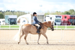 SBM_10738