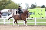 SBM_03441