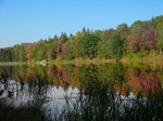 Fall Reflextion