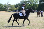 WJ6_8322