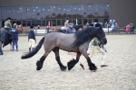 SBM_006184