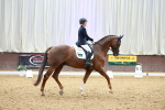 SBM_003953