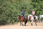 WJ6_8816