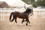 SBM_21441