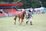 SBM_11275