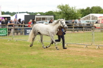 SBM_04270