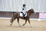 SBM_001020