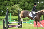 WJ6_5917
