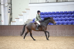 SBM_001950