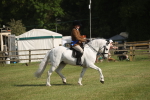 SBM_10235