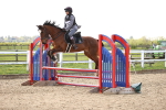 SBM_002491