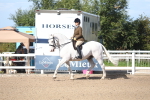 SBM_17531