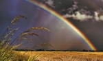 Pot of Gold