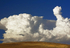 Storm Clouds and Sheep 1.