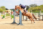 SBM_001644