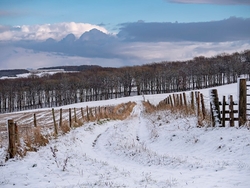Down Hill.