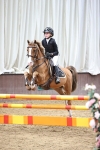 Class 2 - STX UK Pony British Novice 80cm Open portfolio