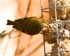 20110308-IMG_1819