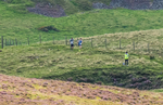 Ennerdale Show-30