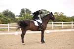 SBM_008625
