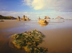 Istock #18952467