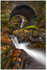 Maria's Bridge, Tollymore Forest Park (IMG1104)