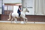 SBM_008309