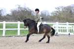 SBM_007434
