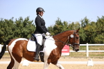 SBM_010520