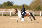 SBM_001558