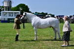 SBM_03853