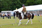 SBM_02648